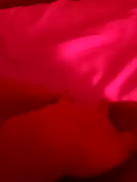 xcodigorojo live sex cam