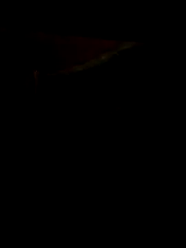 longblacked's cam snapshot