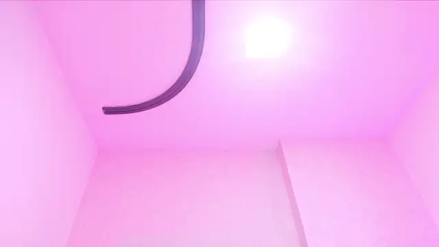 _carolina_fox's cam snapshot