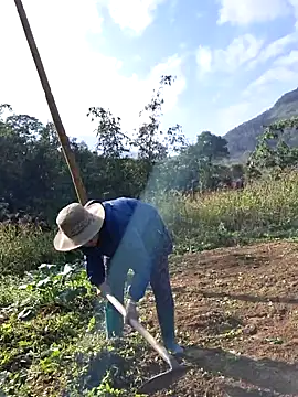 diamond--'s cam snapshot