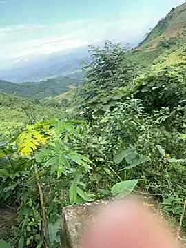 nhinhi-sexy's web cam