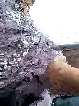 QueenHaryanaa's cam snapshot