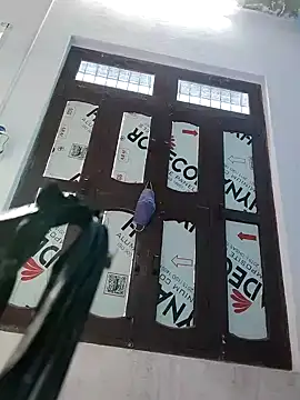 Lovingsol live sex cam