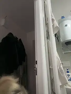 LanaSoftt's cam snapshot