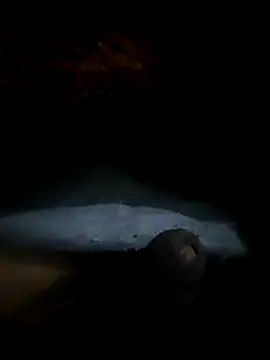 limtguys's cam snapshot