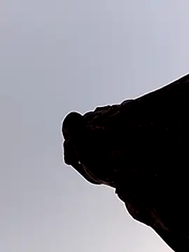 Romantic_Dokdi's cam snapshot