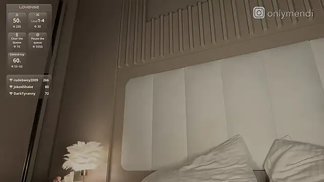 MENNDI's cam snapshot