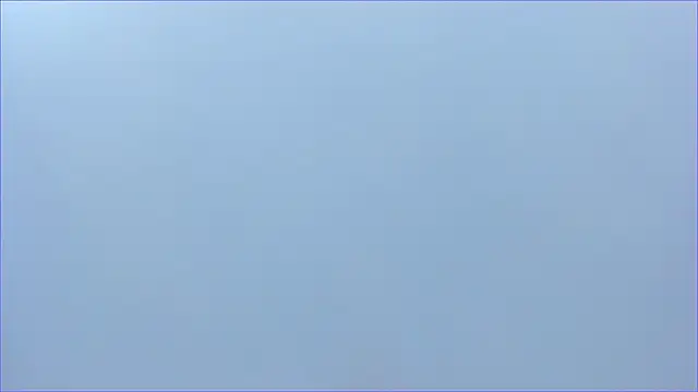 taeni_lara live sex cam