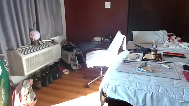 ibPMS's cam snapshot