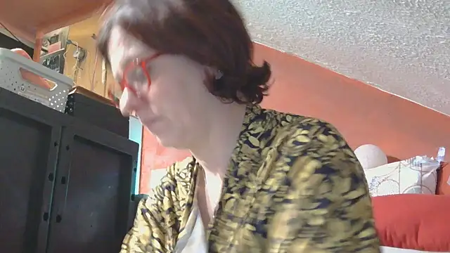 lanax's cam snapshot