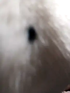 Mika-888's cam snapshot