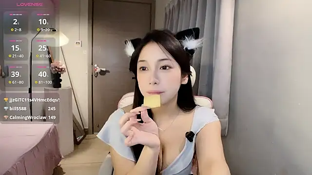 Xiao--Lin's cam snapshot