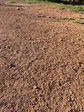 yocoooo live sex cam