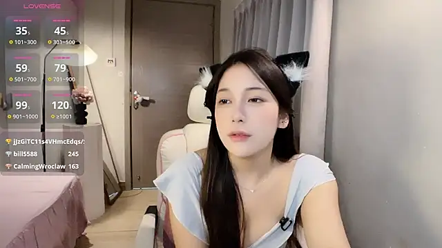 Xiao--Lin's cam snapshot