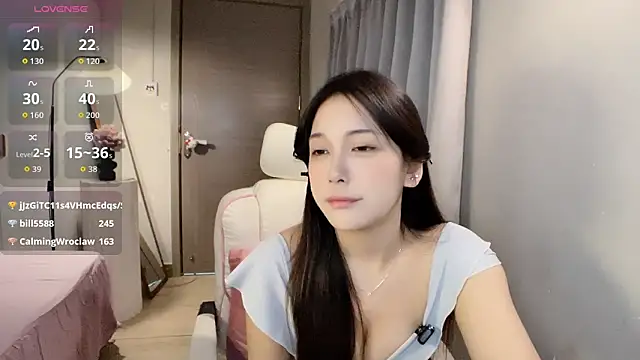 Xiao--Lin's cam snapshot