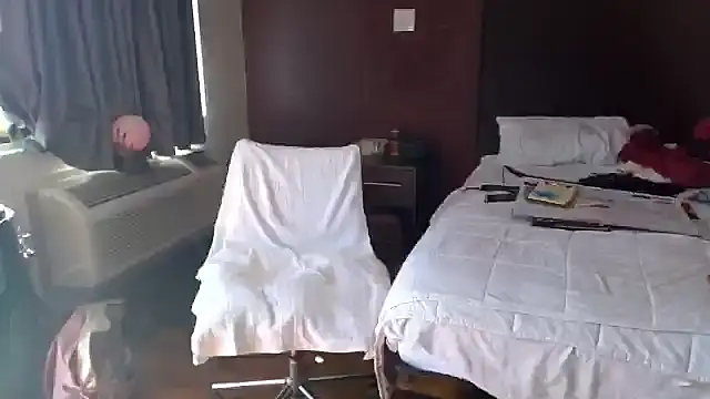 ibPMS's cam snapshot