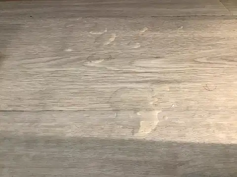 SalesmanAlan's web cam