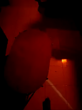 Trade010's cam snapshot