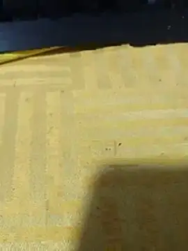 Pogga666's cam snapshot