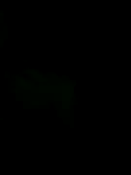 Alinasis23's web cam