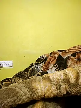 hootmom's cam snapshot