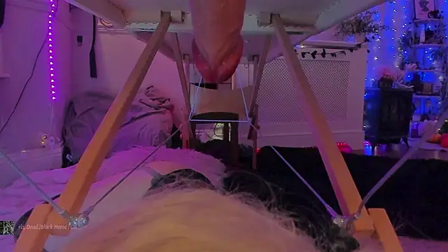 AliceW0lf's cam snapshot