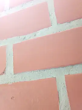 BM_solmiko's cam snapshot