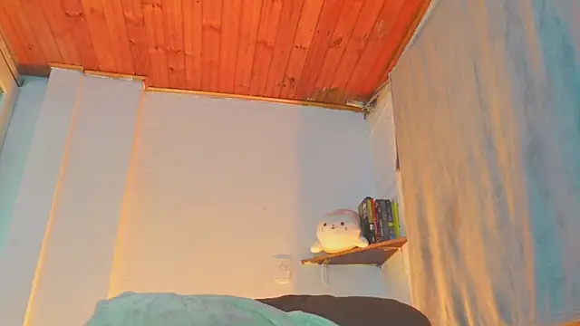 niilaa's cam snapshot