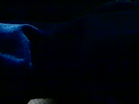 markluvskitty's cam snapshot