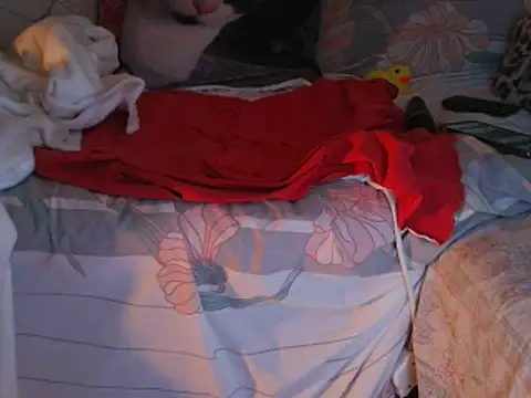 VeneRed's cam snapshot