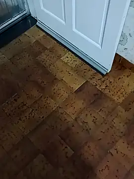 roludao_fun's cam snapshot