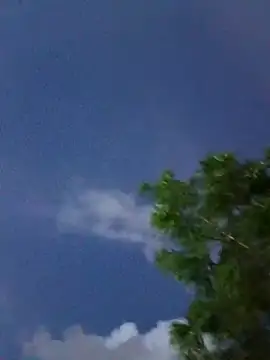 young_dairy01's cam snapshot