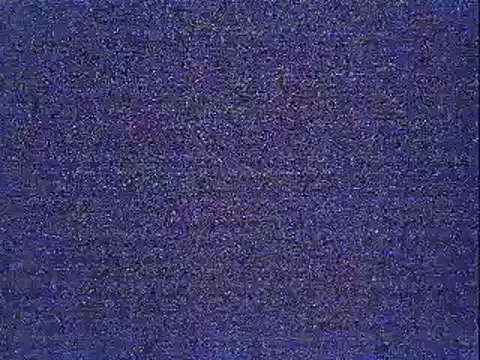 wei123838 live sex cam