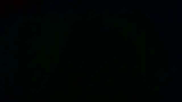 SissyStefanie live sex cam