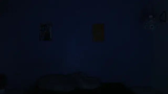 onixandghosty1 live sex cam