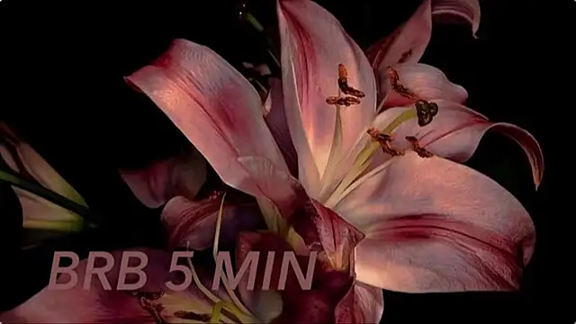 peachy_fortune's cam snapshot