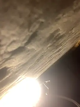 Boysex227 live sex cam