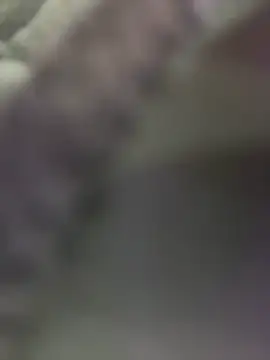 LikaCat live sex cam