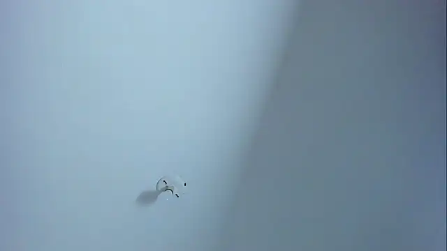 Im_naho's cam snapshot