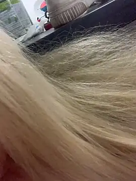 loiragoxtosinnha's cam snapshot