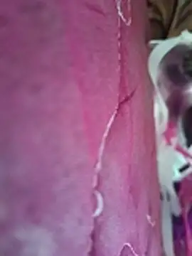 Lavanyaatelugu's cam snapshot