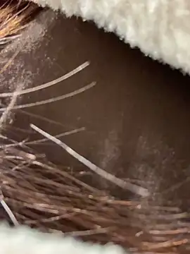 AngelinaTeller live sex cam