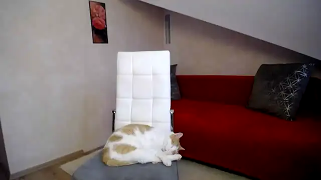 Kathylovexxx live sex cam