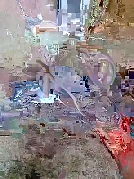 studboy1111 live sex cam