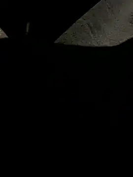 dantedesirexx live sex cam