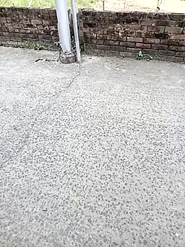 ckarmakar15 live sex cam