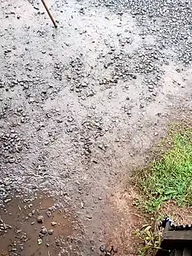 fickfreund019's cam snapshot