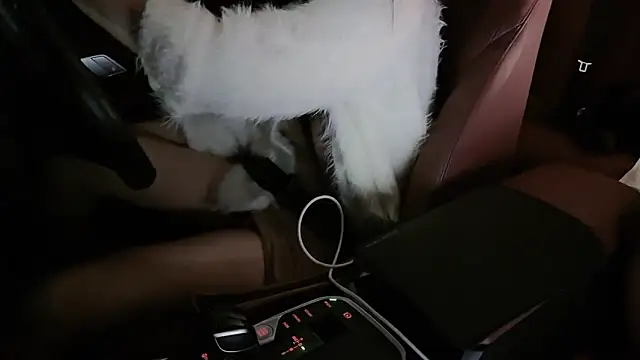 newwell's cam snapshot