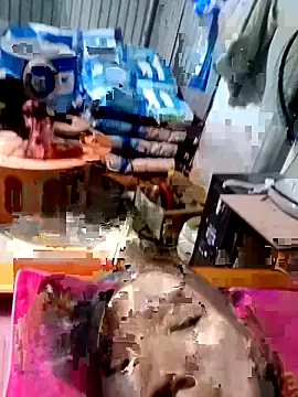 bella-la's cam snapshot