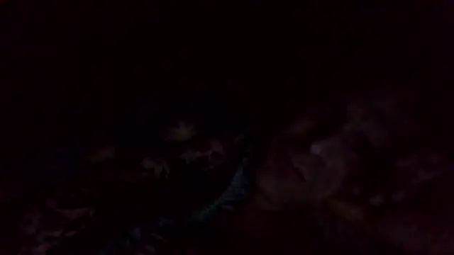 2099RivenXXX's cam snapshot